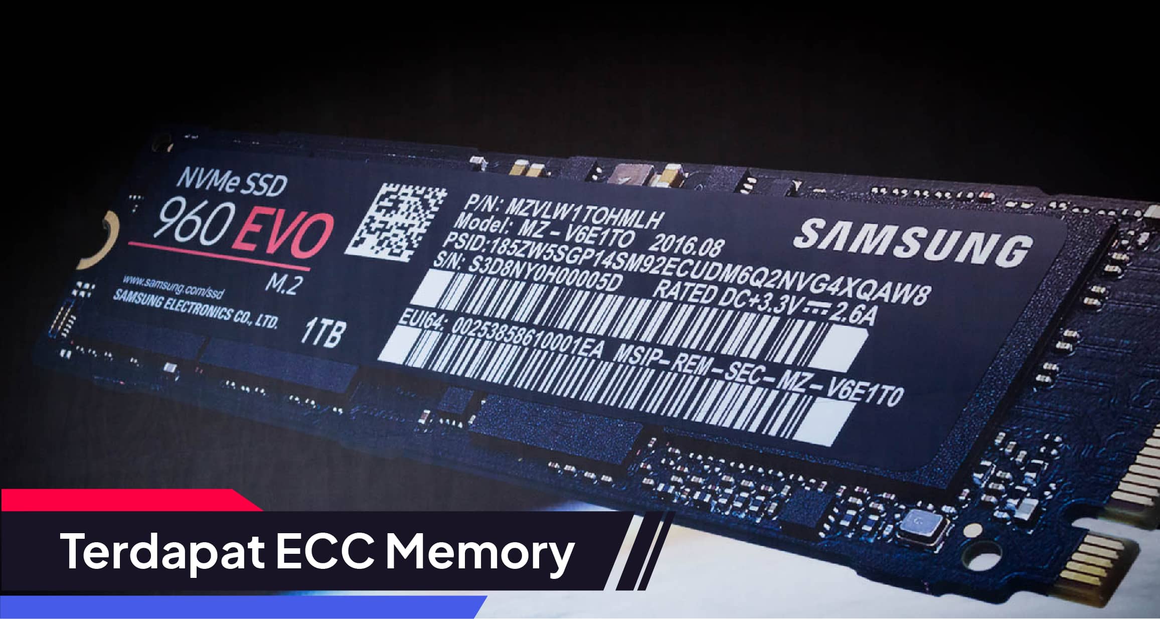 Toko Storage - Tips Memilih SSD Terbaik : Terdapat ECC Memory