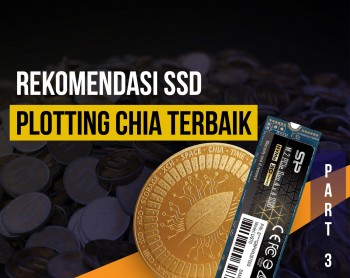 SSD Murah Terbaik Untuk Plotting Chia Versi Toko Storage