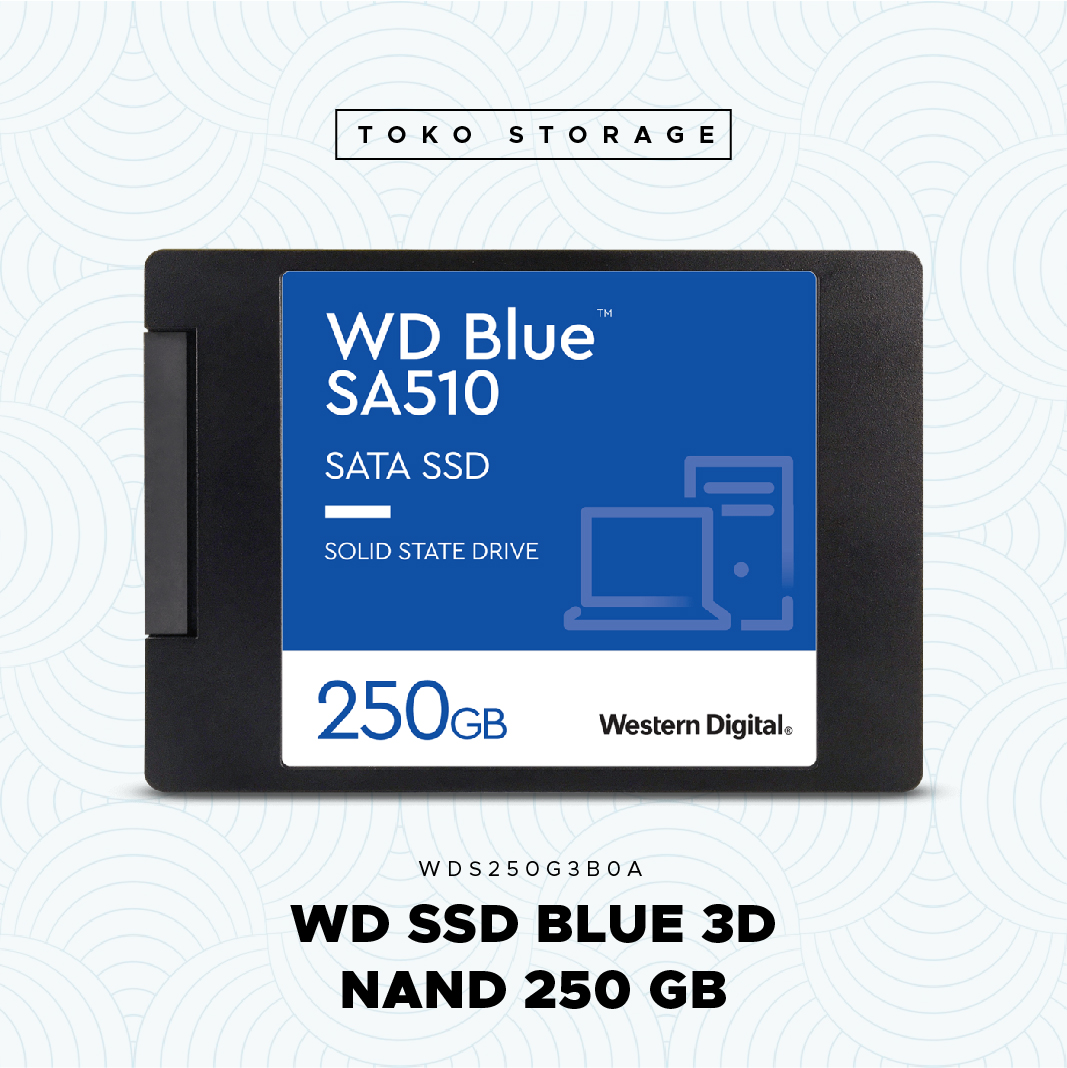 SSD WD BLUE 3D NAND 250 GB SATA III